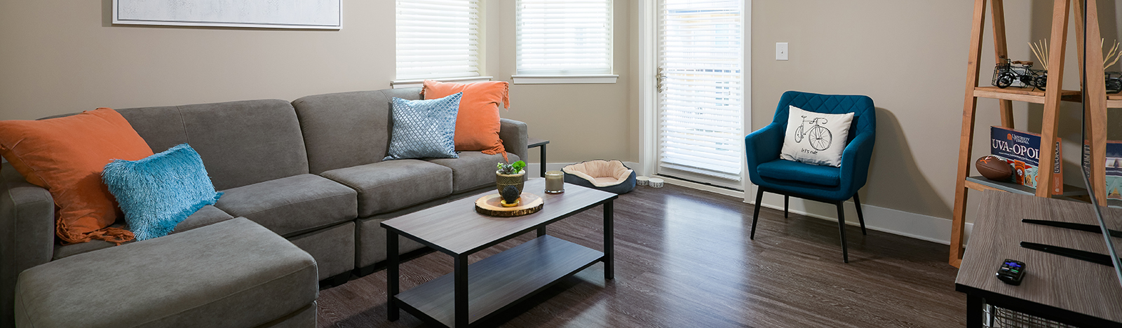 Furnished apartment living space
